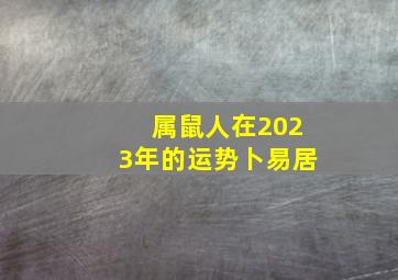 属鼠人在2023年的运势卜易居