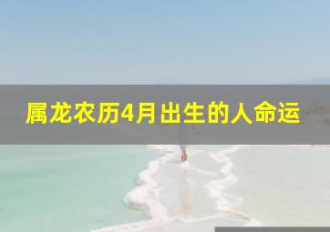 属龙农历4月出生的人命运