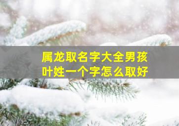 属龙取名字大全男孩叶姓一个字怎么取好