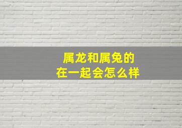 属龙和属兔的在一起会怎么样