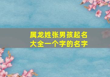 属龙姓张男孩起名大全一个字的名字