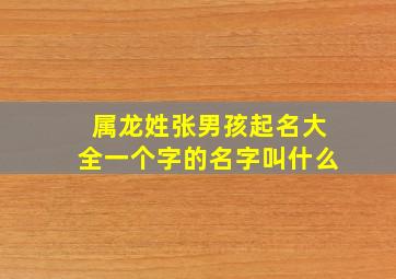 属龙姓张男孩起名大全一个字的名字叫什么