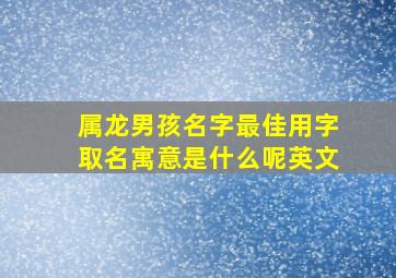 属龙男孩名字最佳用字取名寓意是什么呢英文