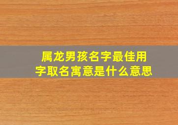 属龙男孩名字最佳用字取名寓意是什么意思