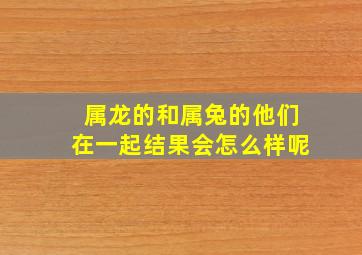 属龙的和属兔的他们在一起结果会怎么样呢