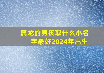 属龙的男孩取什么小名字最好2024年出生