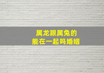 属龙跟属兔的能在一起吗婚姻