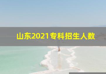 山东2021专科招生人数