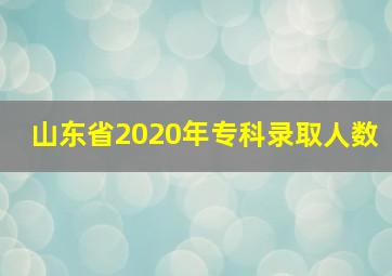 山东省2020年专科录取人数