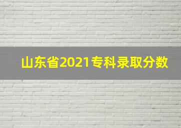 山东省2021专科录取分数