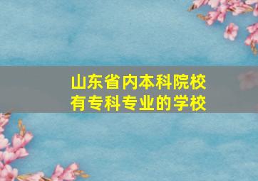 山东省内本科院校有专科专业的学校