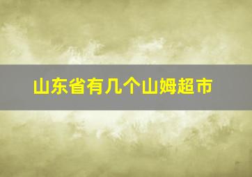 山东省有几个山姆超市