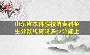 山东省本科院校的专科招生分数线高吗多少分能上