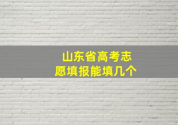 山东省高考志愿填报能填几个