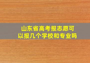 山东省高考报志愿可以报几个学校和专业吗