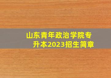 山东青年政治学院专升本2023招生简章