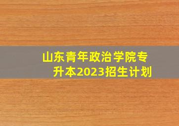 山东青年政治学院专升本2023招生计划