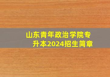 山东青年政治学院专升本2024招生简章