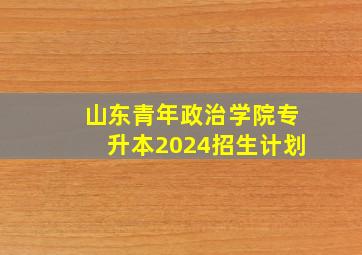 山东青年政治学院专升本2024招生计划