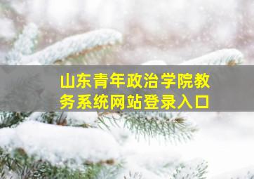 山东青年政治学院教务系统网站登录入口