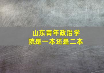 山东青年政治学院是一本还是二本