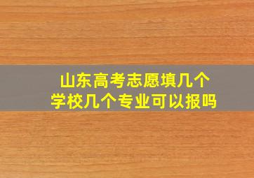 山东高考志愿填几个学校几个专业可以报吗