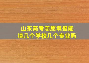 山东高考志愿填报能填几个学校几个专业吗