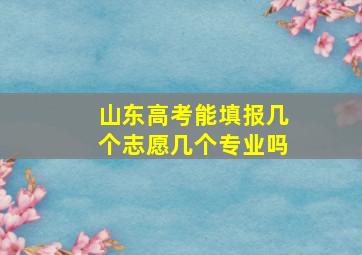 山东高考能填报几个志愿几个专业吗