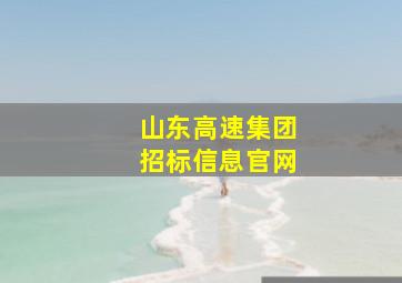 山东高速集团招标信息官网