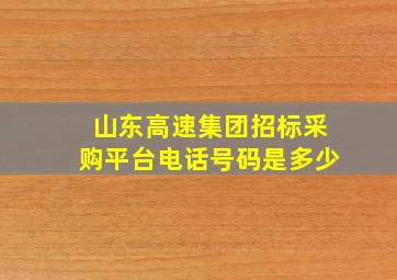 山东高速集团招标采购平台电话号码是多少