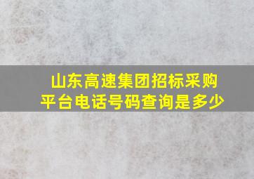 山东高速集团招标采购平台电话号码查询是多少