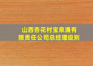 山西杏花村宝泉涌有限责任公司总经理级别