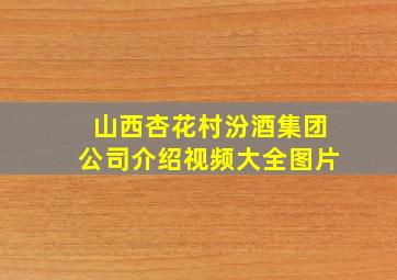 山西杏花村汾酒集团公司介绍视频大全图片