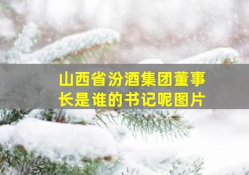 山西省汾酒集团董事长是谁的书记呢图片