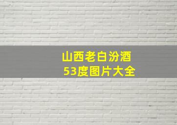 山西老白汾酒53度图片大全