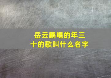 岳云鹏唱的年三十的歌叫什么名字