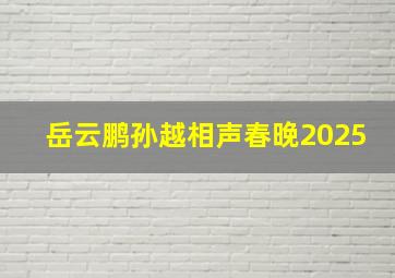 岳云鹏孙越相声春晚2025