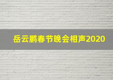 岳云鹏春节晚会相声2020