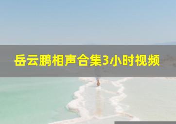 岳云鹏相声合集3小时视频