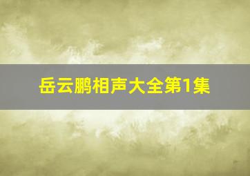 岳云鹏相声大全第1集