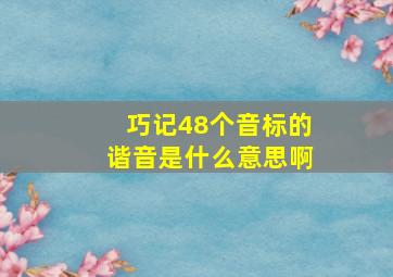 巧记48个音标的谐音是什么意思啊