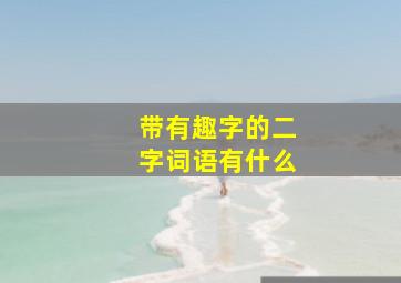 带有趣字的二字词语有什么