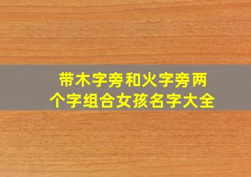 带木字旁和火字旁两个字组合女孩名字大全