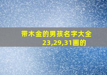 带木金的男孩名字大全23,29,31画的