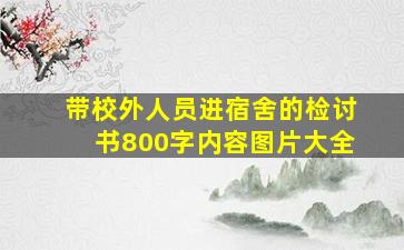 带校外人员进宿舍的检讨书800字内容图片大全