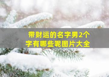 带财运的名字男2个字有哪些呢图片大全