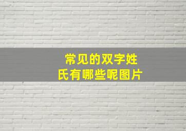 常见的双字姓氏有哪些呢图片