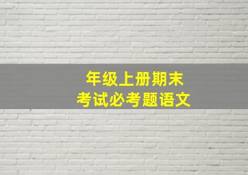 年级上册期末考试必考题语文