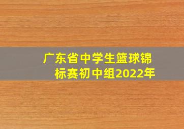 广东省中学生篮球锦标赛初中组2022年