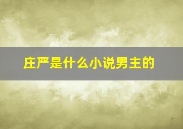 庄严是什么小说男主的